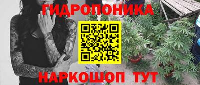 не бодяженный Новозыбков